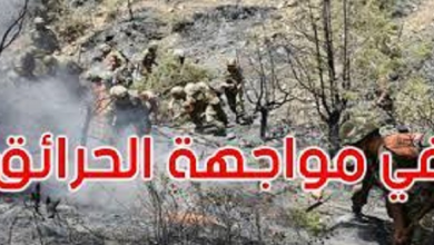 صورة عاجـــــــــــــــل/ وفاة عشرات العسكريين في الجزائر أثناء محاولة إنقاذ مواطنين من الحرائق
