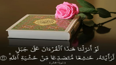 صورة ما هي الآية التي جمعت كل حروف اللغة العربية؟ الإعجاز في القرآن الكريم