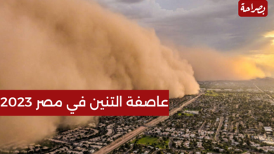 صورة خطط طوارئ شاملة واجلاء السكان..تحذيرات لمصر والجزائر وتونس والسعودية دول أخرى من عاصفة شديدة خلال ساعات